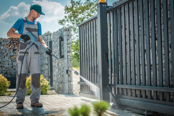 Animal Enclosure Cleaning in Laymantown, VA